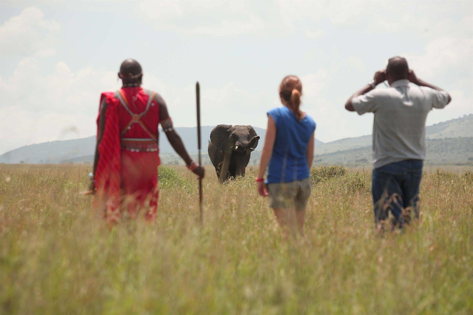 Sarova Mara Game Camp Villa Sekenani Eksteriør bilde